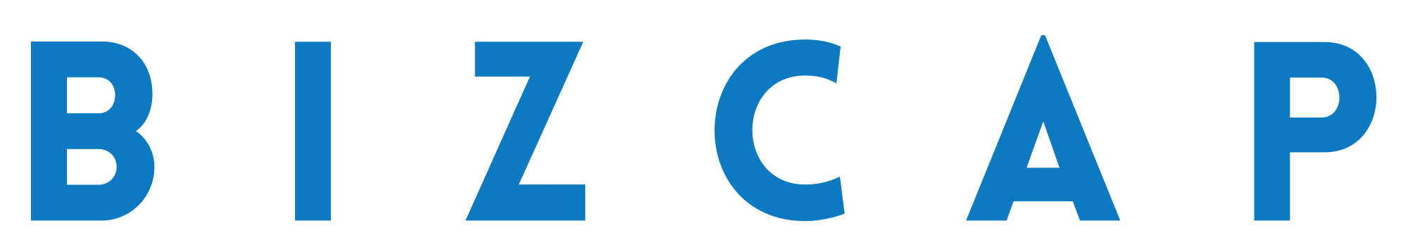 Bizcap